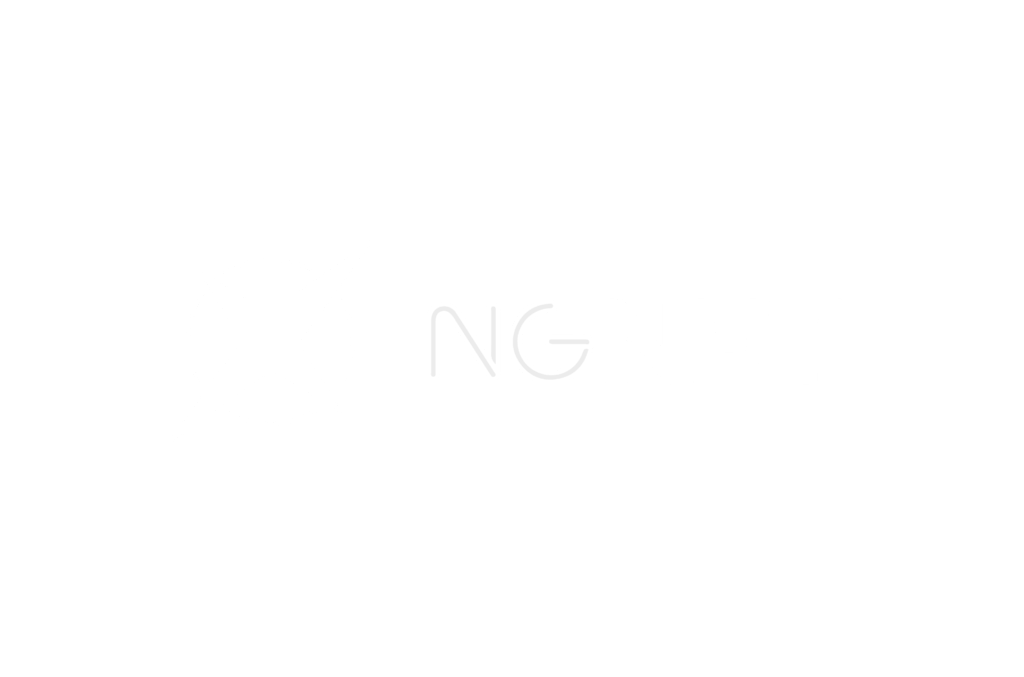 logo-ngnet